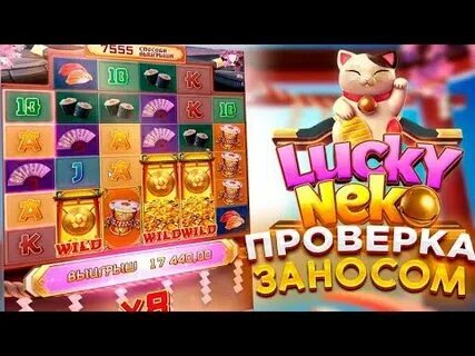 029 bet 