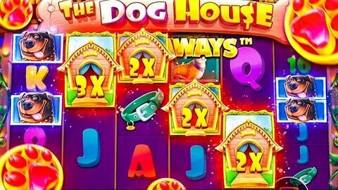 cassino jogos 